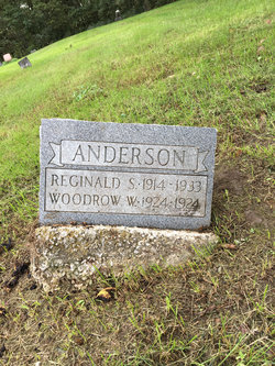 Reginald S Anderson 