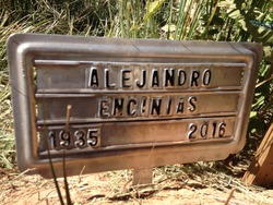 Alejandro G Encinias 