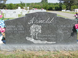 Anna Sue <I>Davis</I> Arnold 
