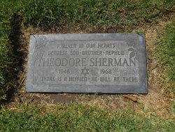 Theodore Sherman 