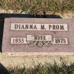 Dianna M Prom 
