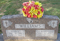 Ellis C Williams 
