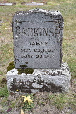 James A. Adkins 