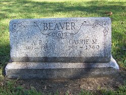 Alphonso Pearl Beaver 
