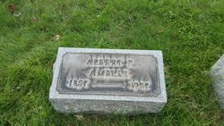 Albert P Ambler 