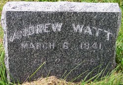 Andrew Watt 