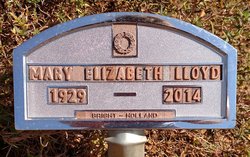 Mary Elizabeth Lloyd 