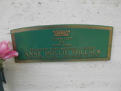 Anne Mollie Pollack 