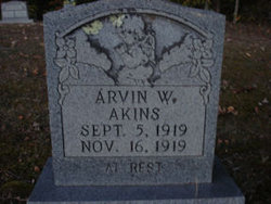 Arvin W Akins 