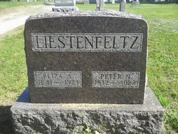 Eliza Ann <I>Strait</I> Liestenfeltz 
