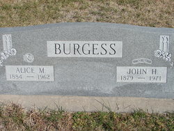 Alice May <I>Copley</I> Burgess 