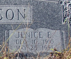Jenice E Nicholson 