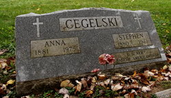 Stephen Cegelski 