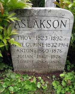 Theodore Aslakson 