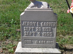 Jerry L. Carver 