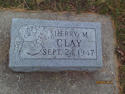 Sherry M Clay 