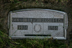 Diane Lynn Anderson 