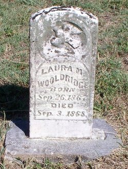 Laura M Wooldridge 