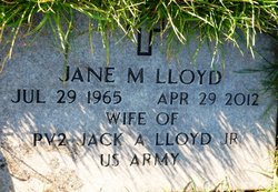 Jane M Lloyd 