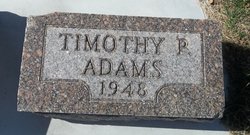 Timothy P Adams 