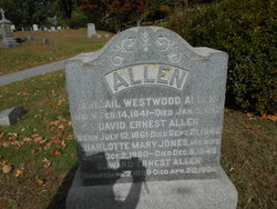 Abigail <I>Westwood</I> Allen 