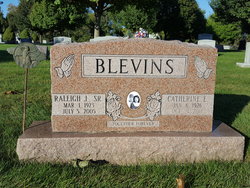 Catherine Eileen <I>Davis</I> Blevins 