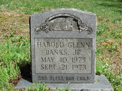 Harold Glenn Banks Jr.
