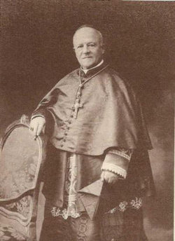 Cardinal Federico Cattani Amadori 