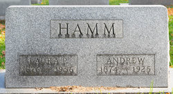 Andrew Hamm 