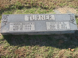 Stephen Henry Turner 