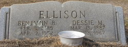 Benjamin Ellison 