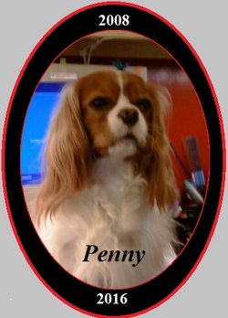 Penny Becker 