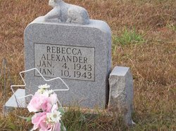 Rebecca Alexander 