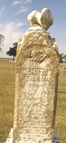 Henry Porter Perkins 
