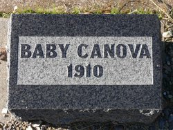 Baby Canova 