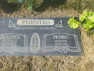 Pedro Perez Fuentes 