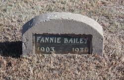Frances Bethena “Fannie” <I>Terry</I> Bailey 