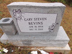 Gary Steven Bevins 