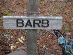 Barb Unknown 