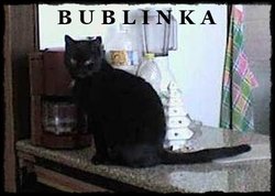 Bublinka Cat 