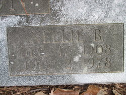 Nellie Mae <I>Butler</I> Anderson 