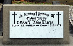 Cesar Joffre R Amarante 