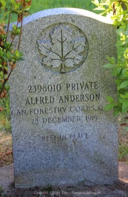 PVT Alfred Frederick Anderson 
