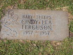 Cindy Lee Ferguson 