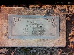 Marie T. <I>Johnson</I> Andrew 