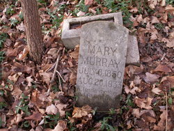 Mary Virginia Susannah <I>Branstetter</I> Murray 