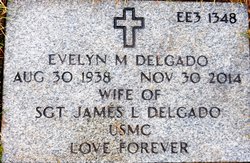 Evelyn M Delgado 