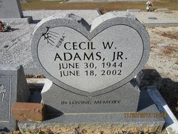 Cecil W. Adams Jr.