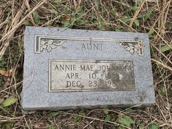 Annie Mae <I>Clayton</I> Johnson 