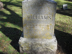 Tamer W Williams 